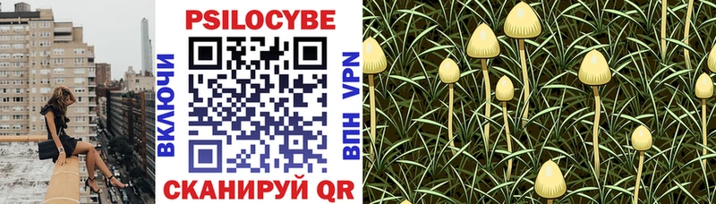 omg ТОР Бодайбо Псилоцибиновые грибы GOLDEN TEACHER купить наркоту